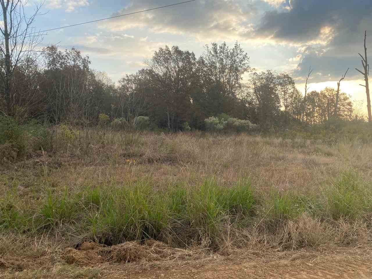 Hwy 259 County Road 4307 - Photo 1