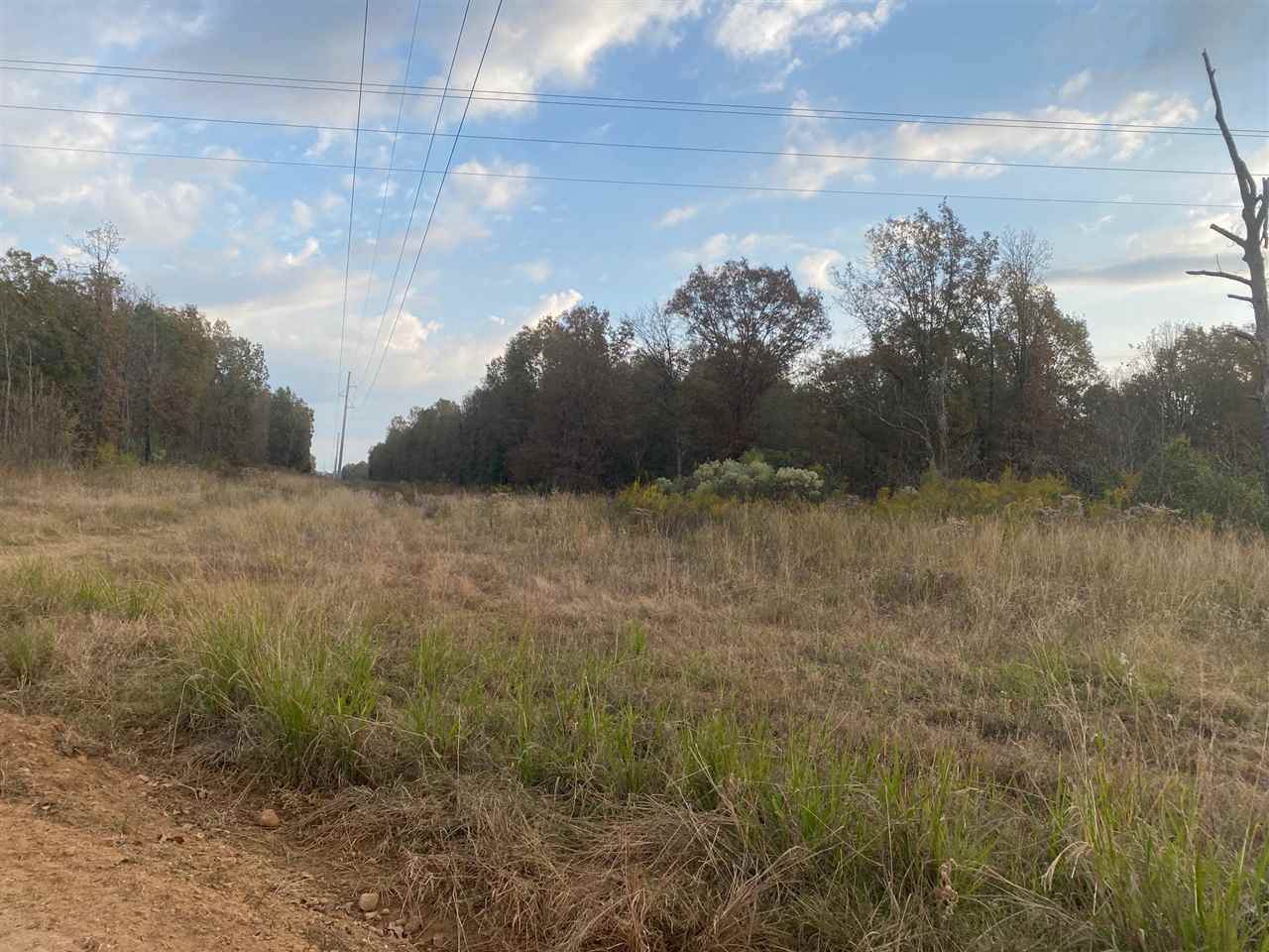 Hwy 259 Cr 4307 - Photo 1