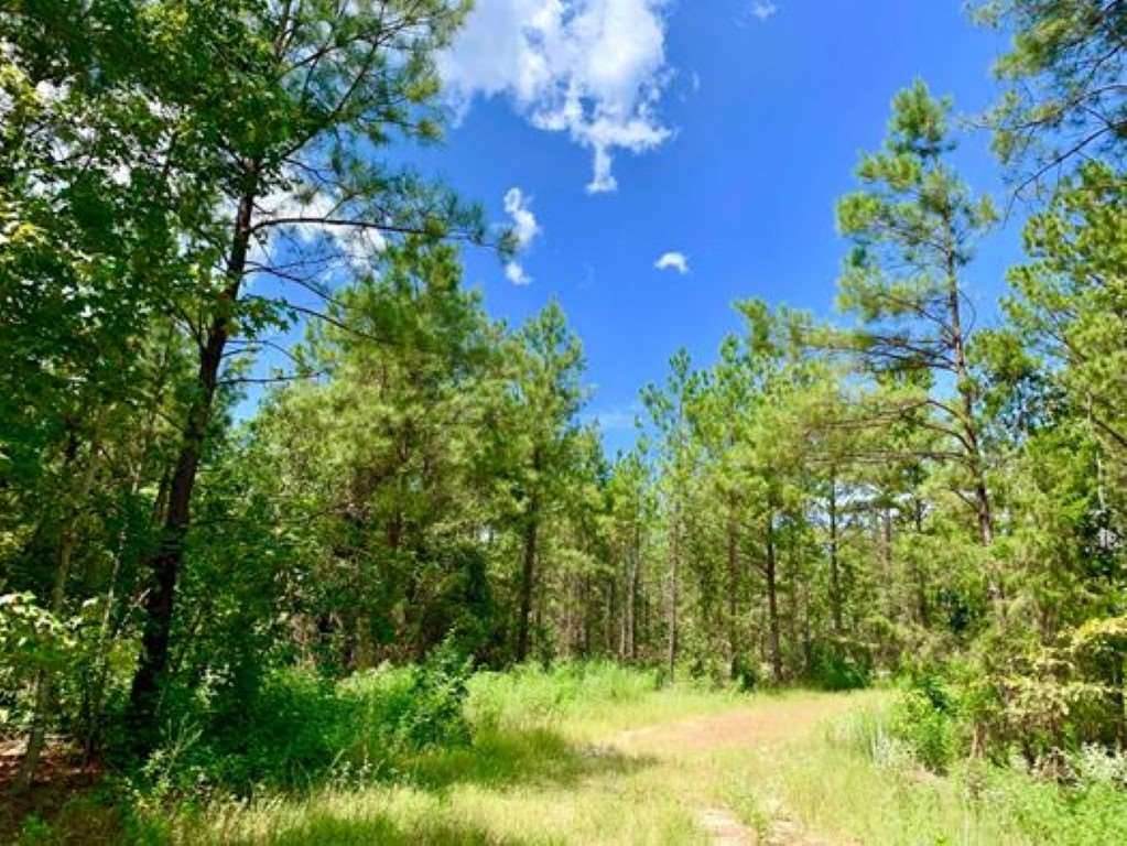 TBD Cr 4346 - Photo 1