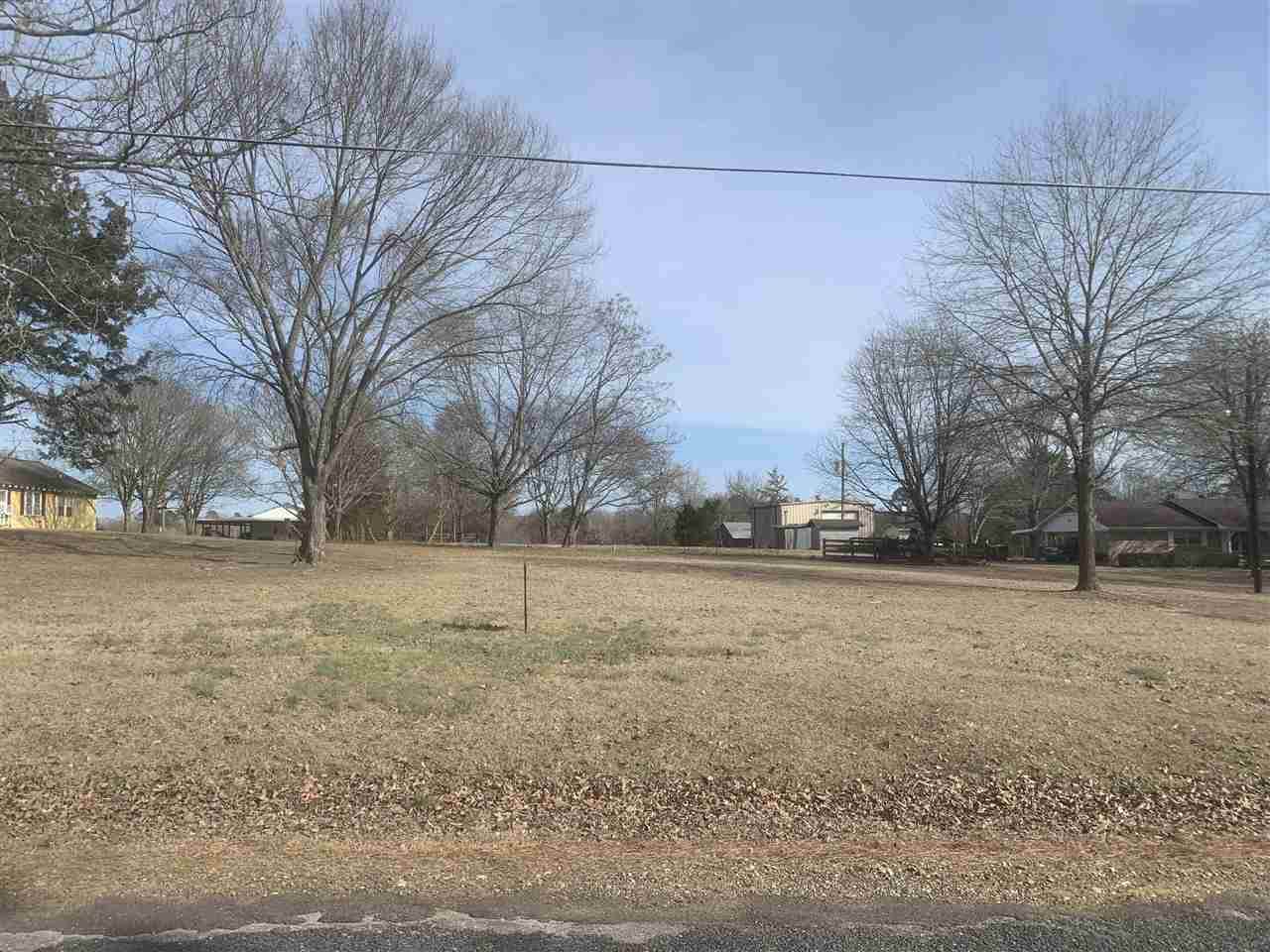 Lot 20D Tri State Road - Photo 1