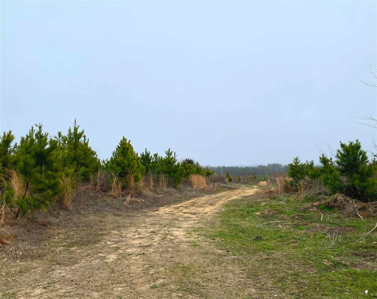 214 ac± TBD Tx Hwy 77 W - Photo 1
