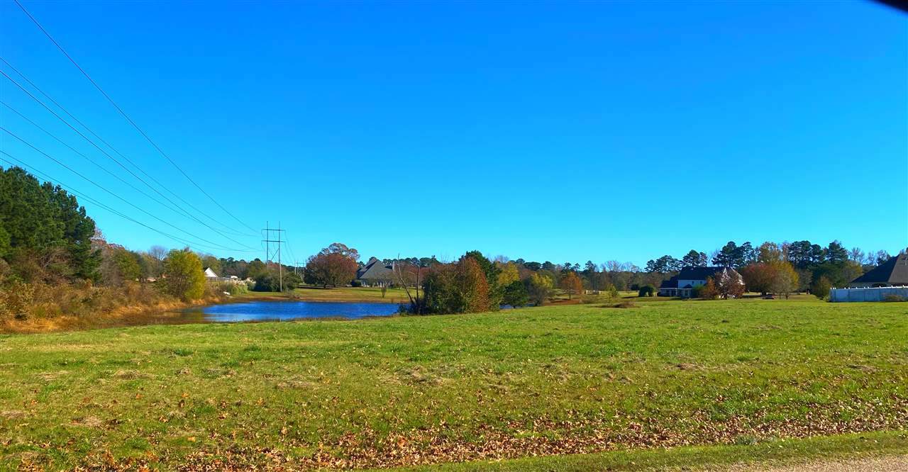 8236 Quail Hollow - Photo 1