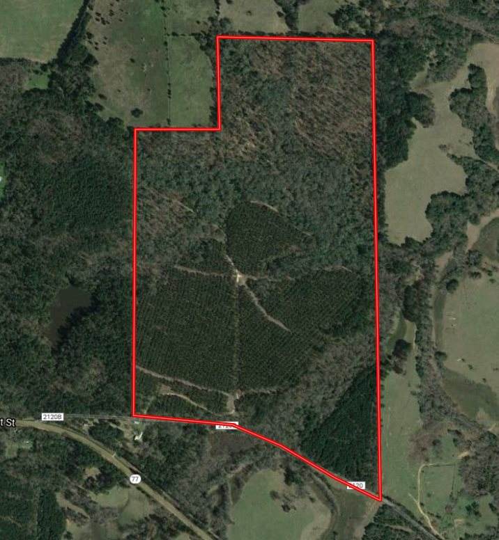 178 acres ± TBD Cr 2120 - Photo 1