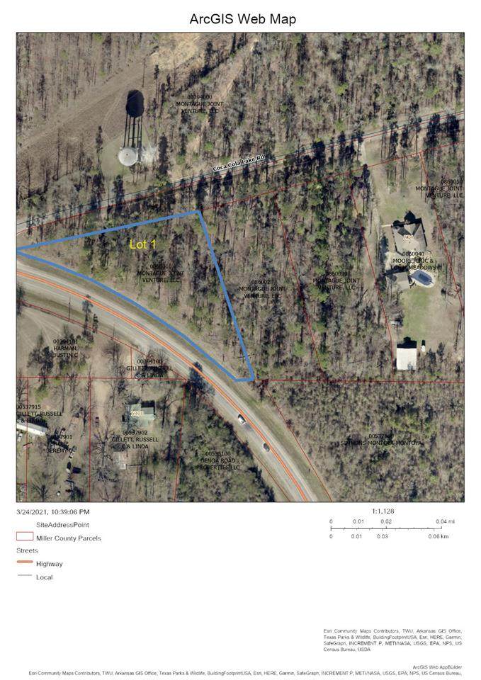 1 Coca Cola Lake Rd - Photo 1