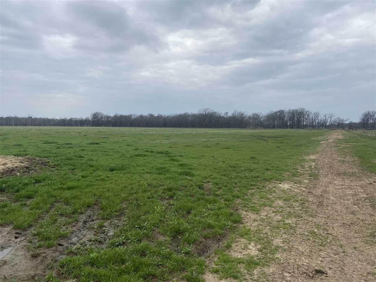 8700 BLOCK Sanderson Lane - Photo 1
