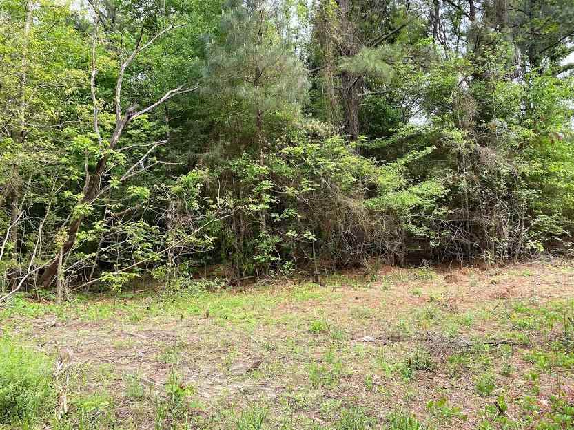 TBD Cr 1111 - Photo 1