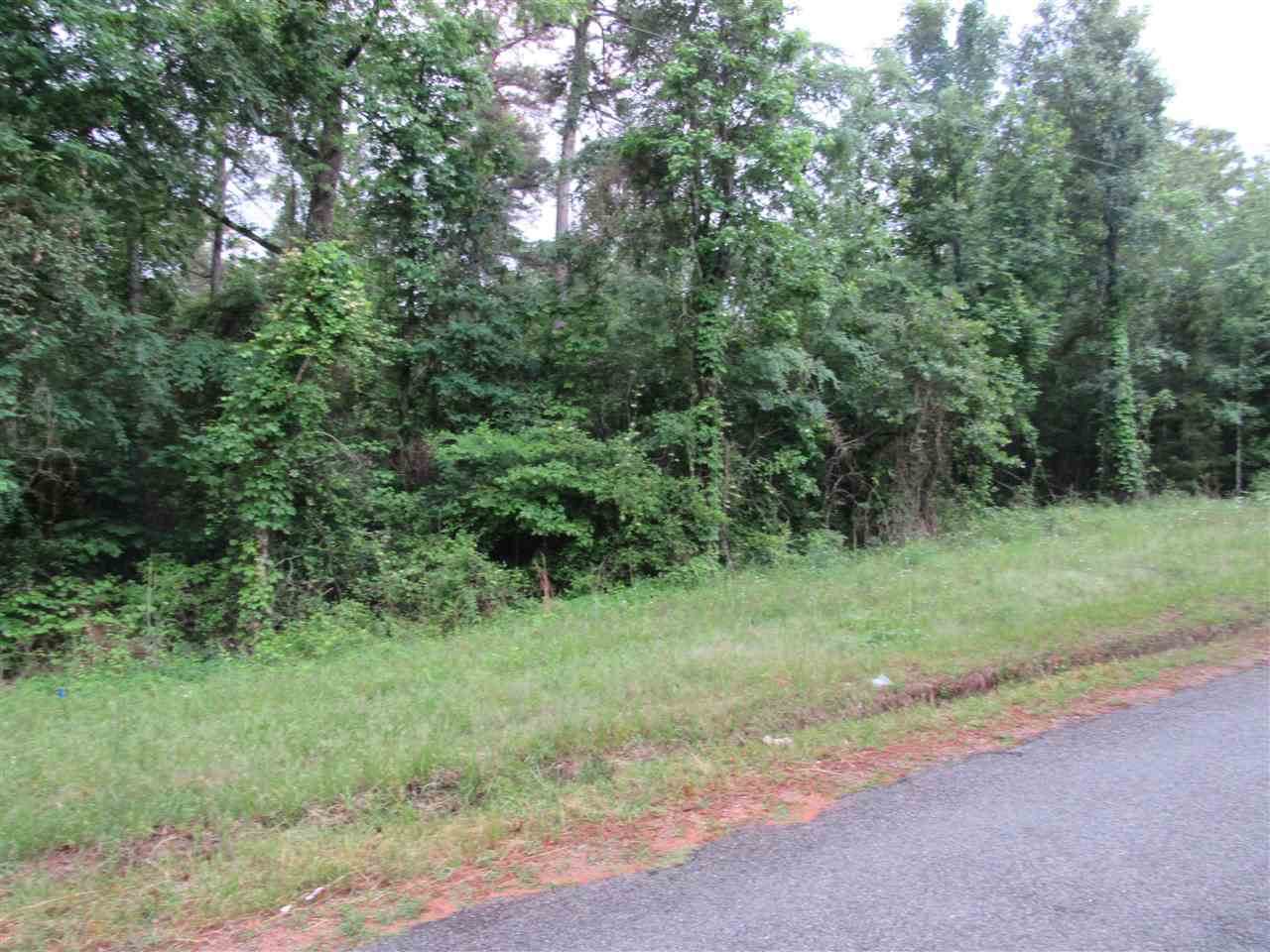 5 Coca Cola Lake Rd - Photo 1