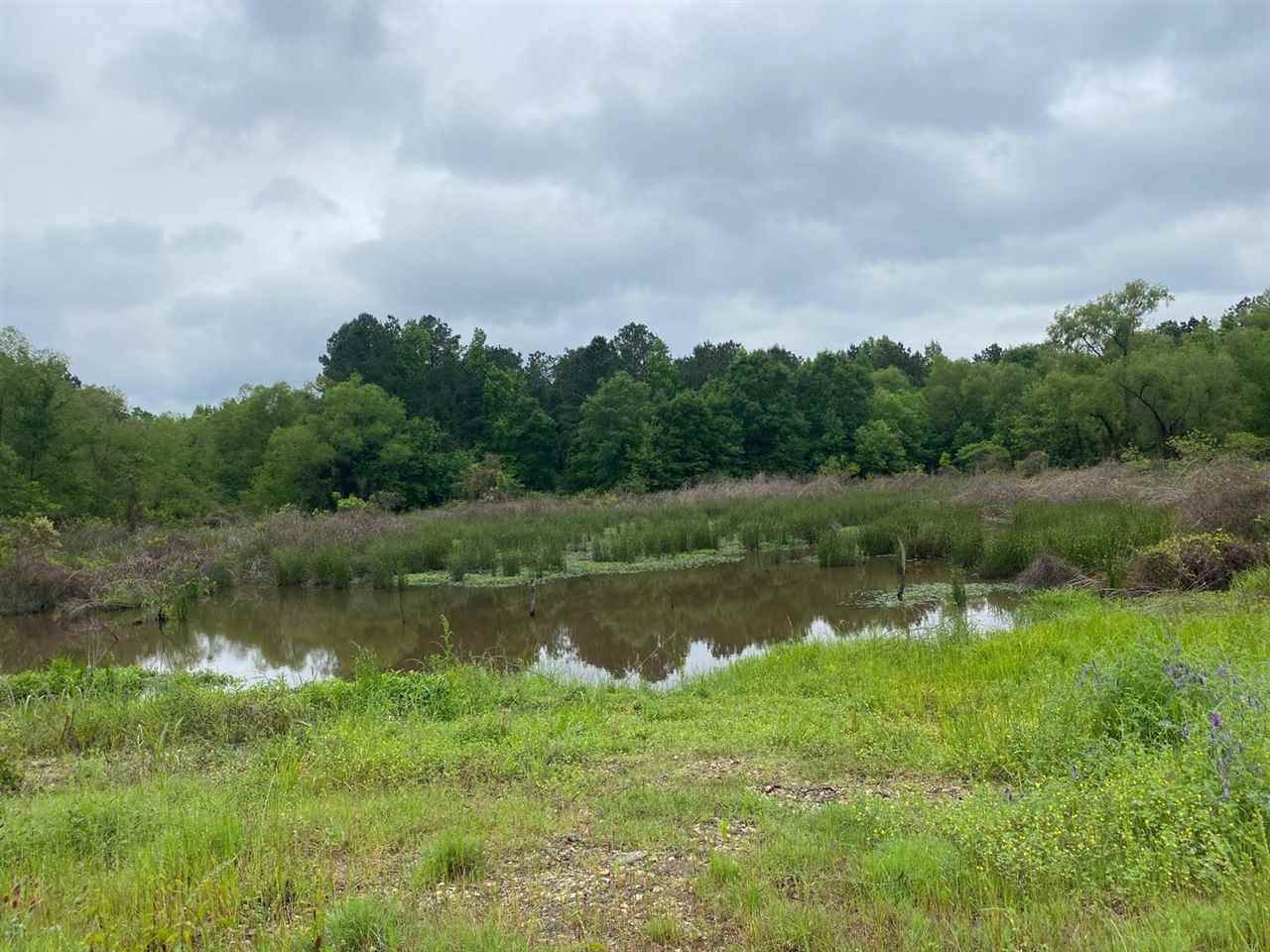 1159 At Cr 3115 - Photo 1