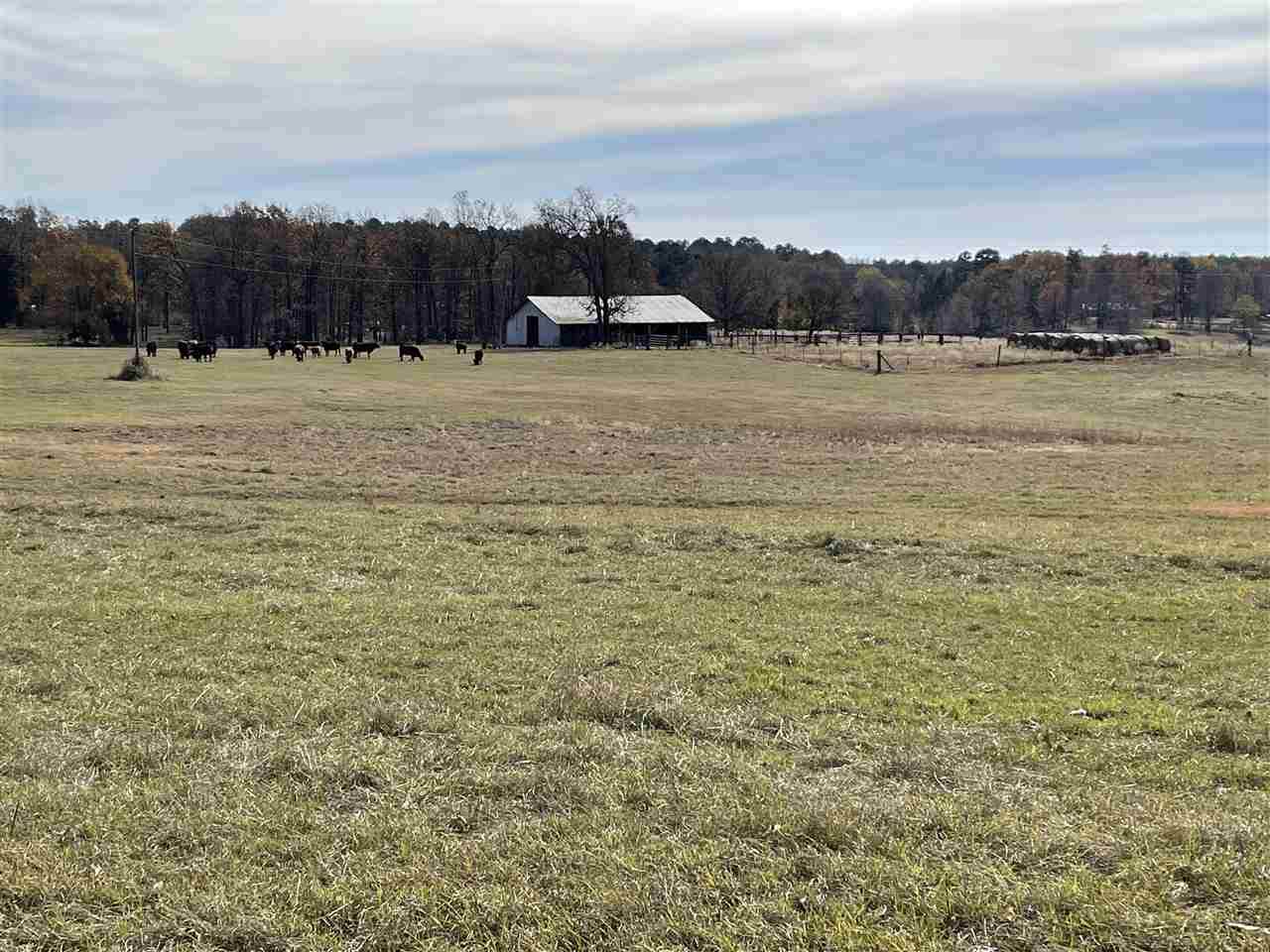 TBD Fm 1841 - Photo 1