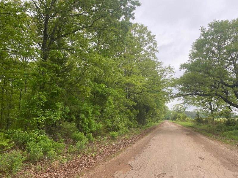 County Road 4239 - Photo 1