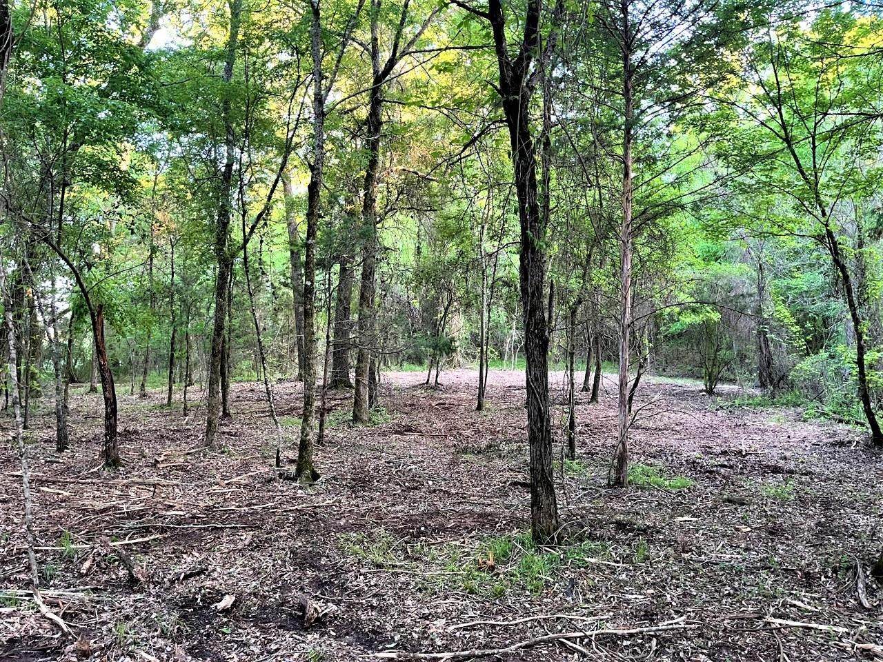 9.887 acres Cr 3108 - Photo 1