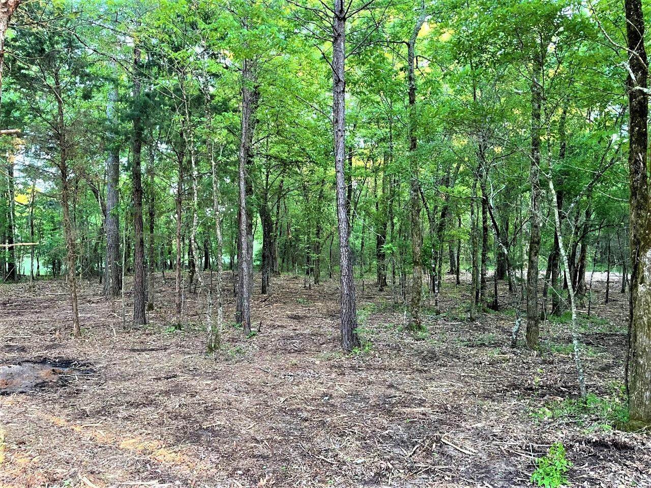 8.891 acres Cr 3108 - Photo 1