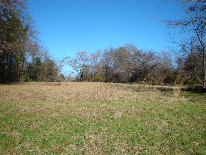Lot 5 Anderson - Photo 1