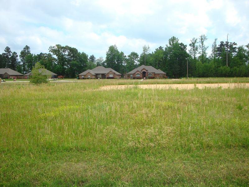 Lot 20 Sylvia Dr - Photo 1