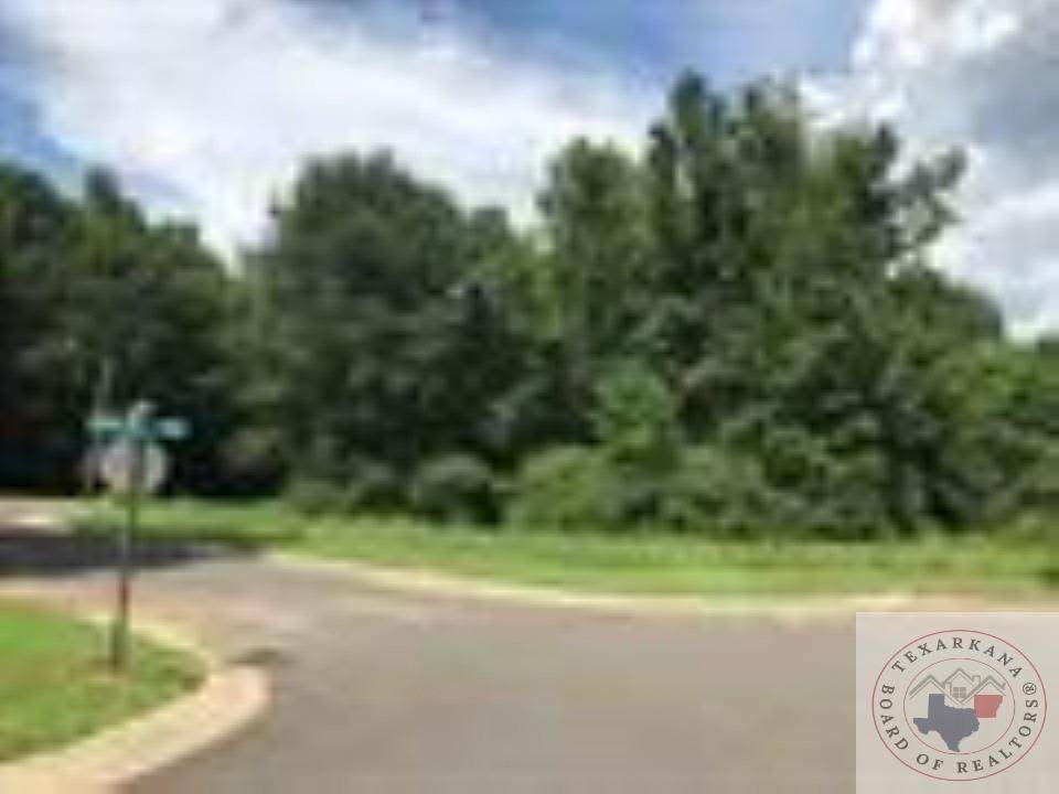 TBD( 201 ) Spring Valley Road - Photo 1