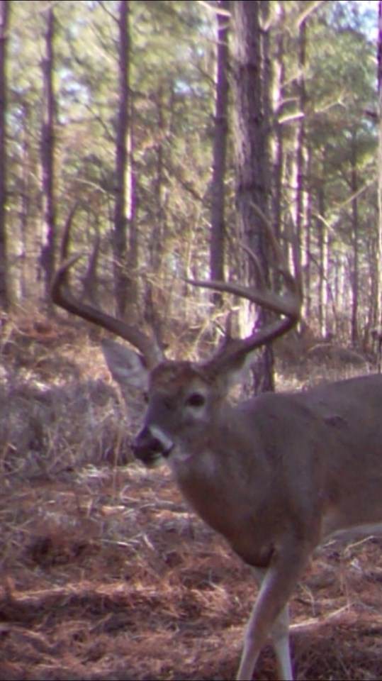 186 +/- ac Hwy 87 - Photo 1