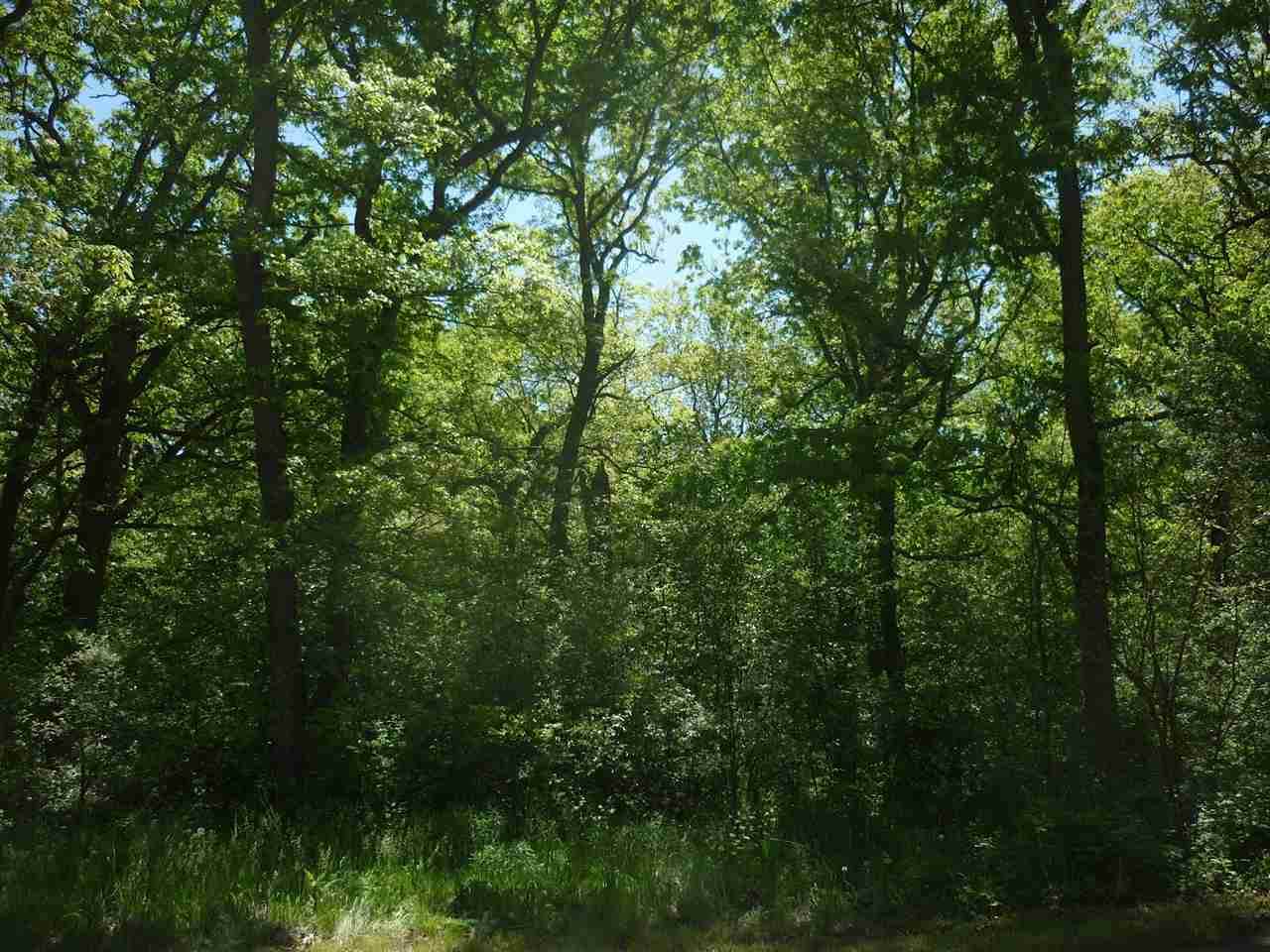 1 990 - Photo 1