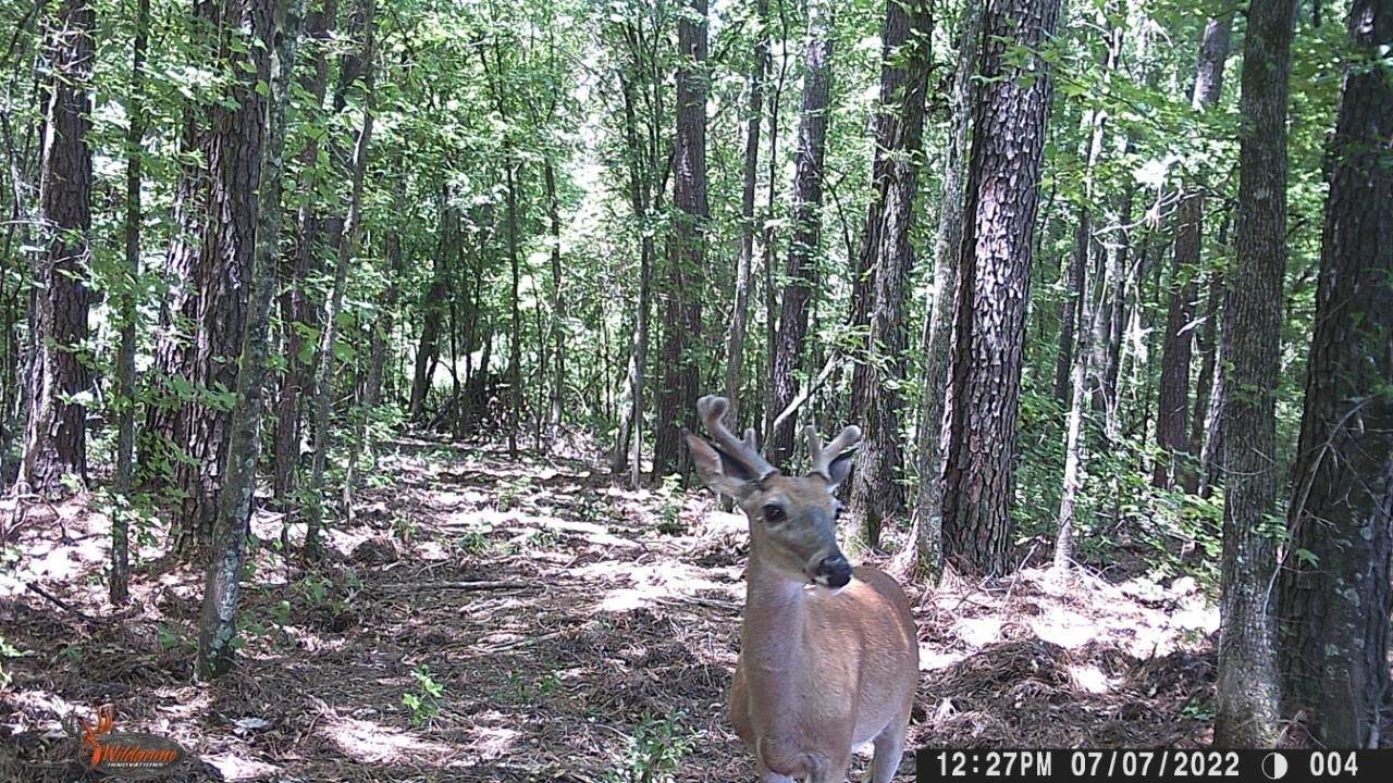 0 Fm 992 - Photo 1