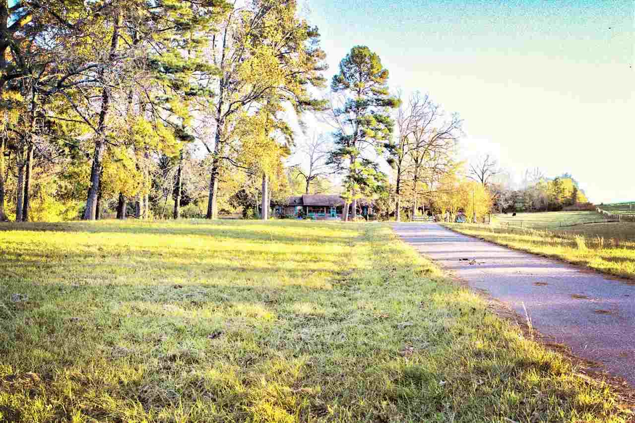 6210 9th St/ Hwy 82 - Photo 1
