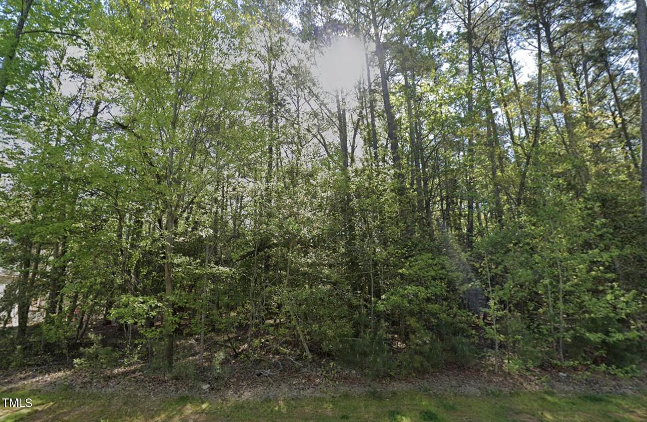 191 Bonica Creek Drive - Photo 1