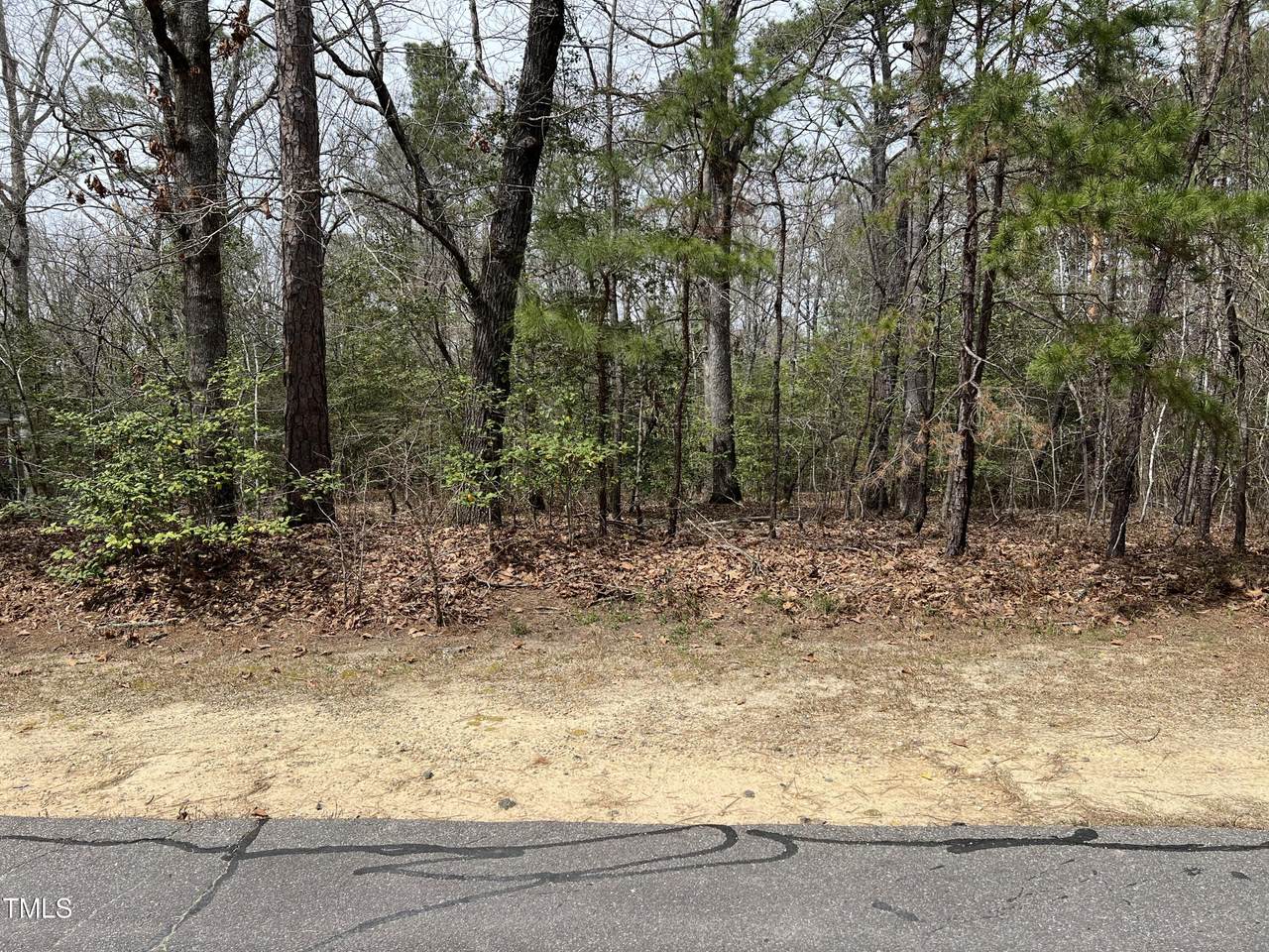 707 Mimosa Drive - Photo 1