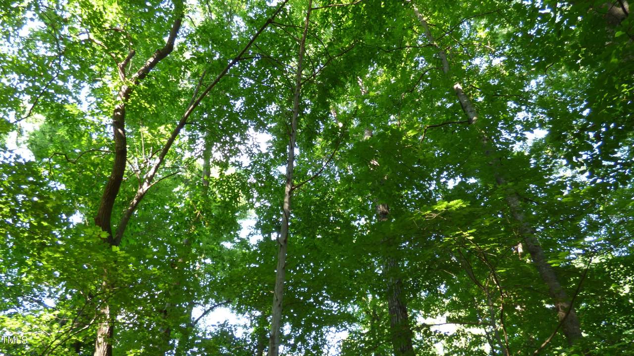 Lot 54 Forest Drive - Photo 1