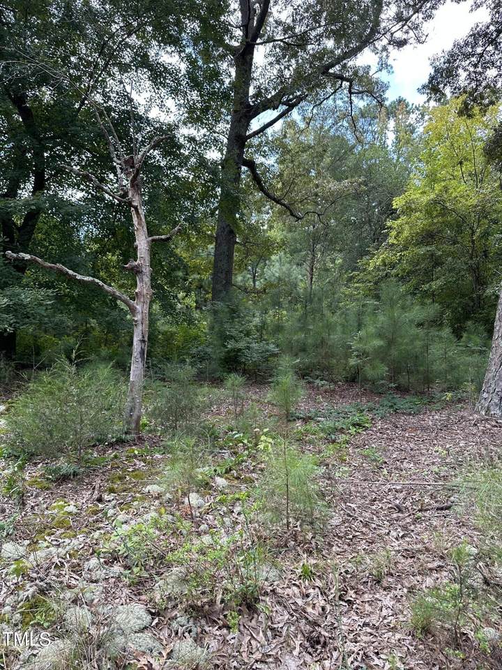 3716 Old Greensboro Rd Road - Photo 1