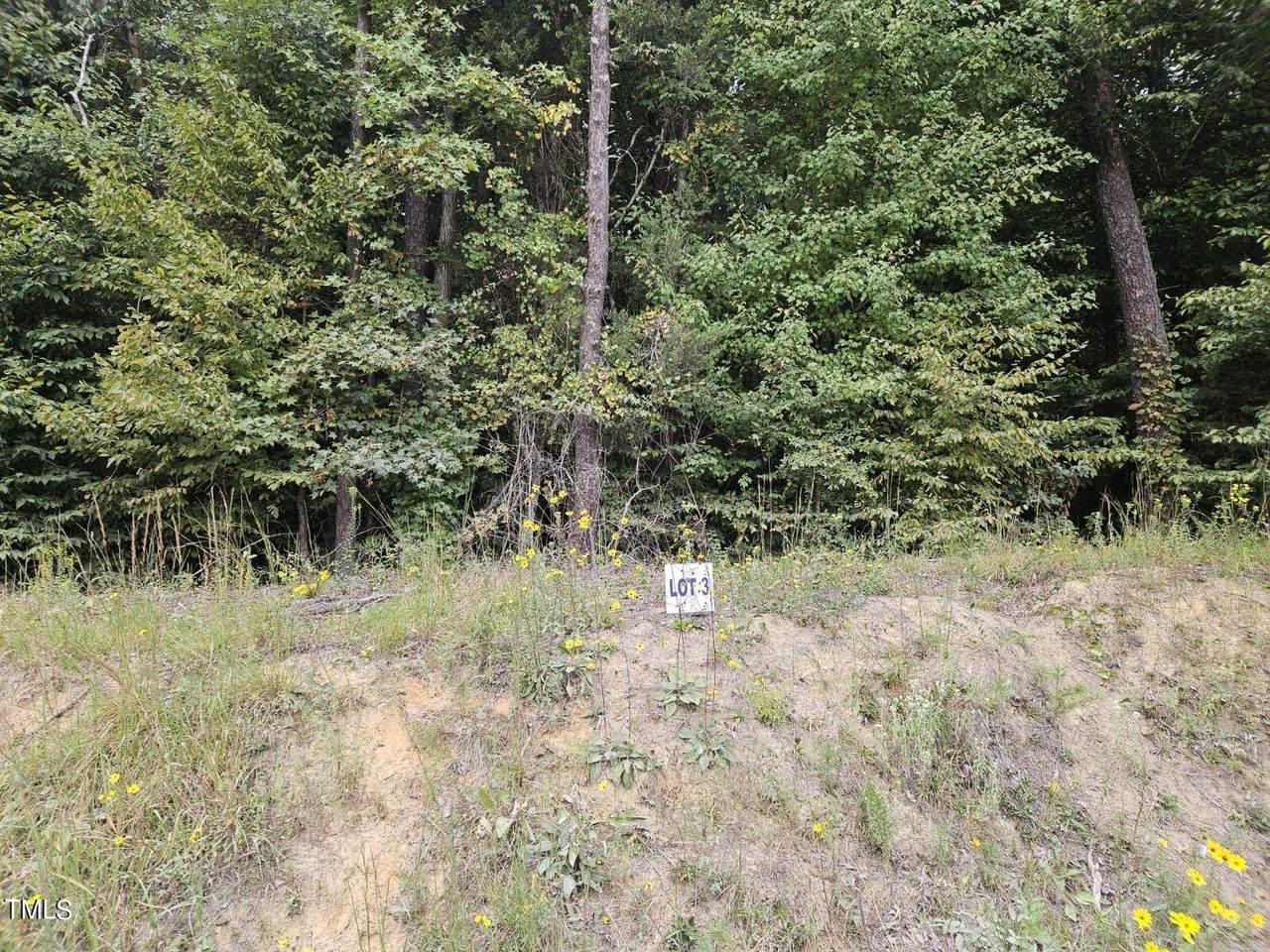Lot 3 Doll Branch Road - Photo 1