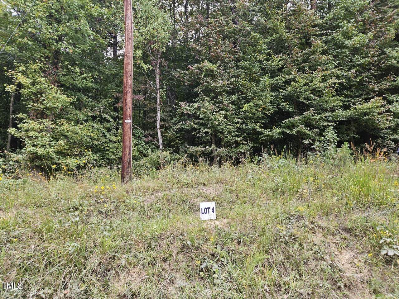 Lot 4 Doll Branch Road - Photo 1