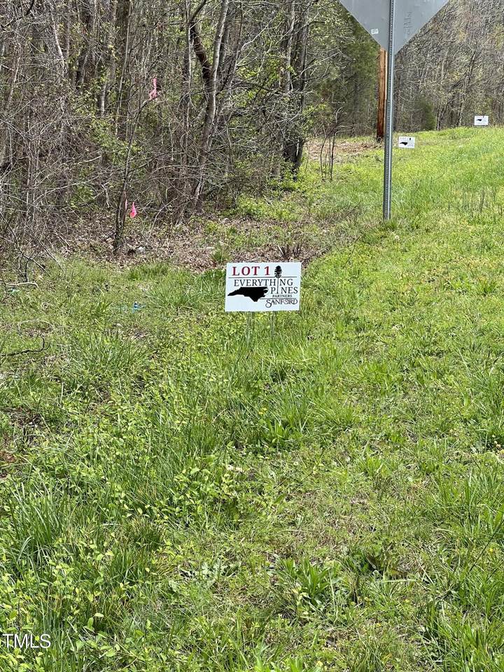 Lot 1 Elmer Moore Road - Photo 1