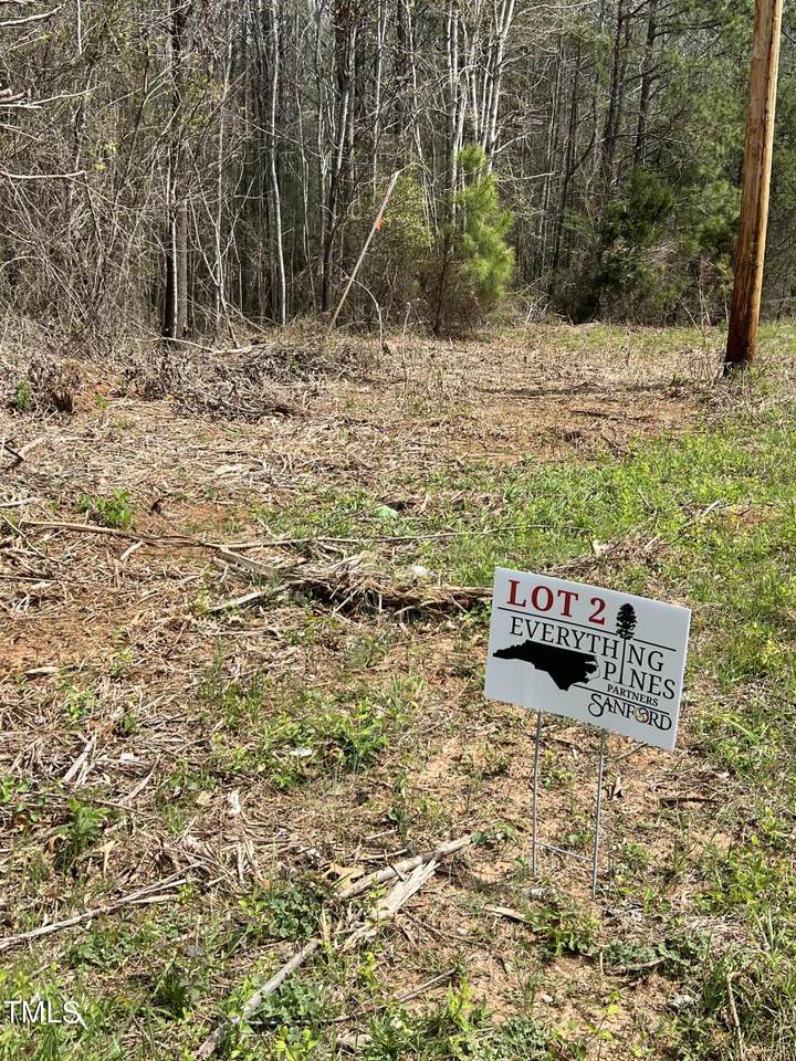 Lot 2 Elmer Moore Road - Photo 1