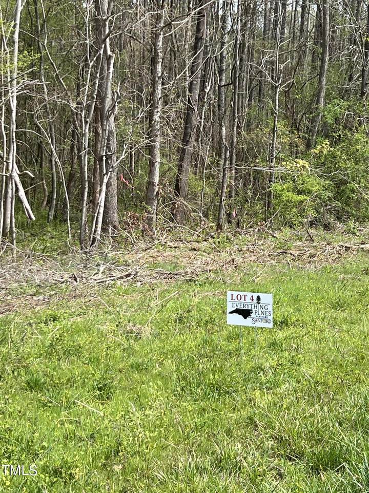 Lot 4 Elmer Moore Road - Photo 1