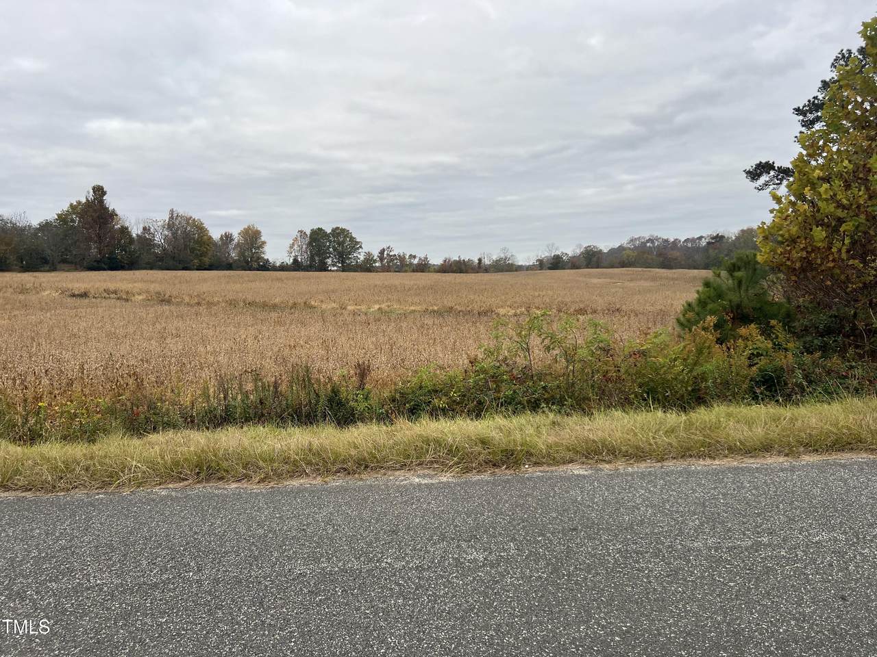 00 Walnut Grove Church Road - Photo 1