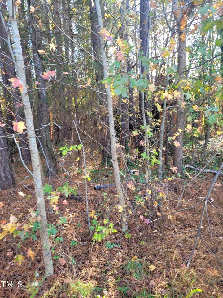 4229 Hilltop Needmore Road - Photo 1