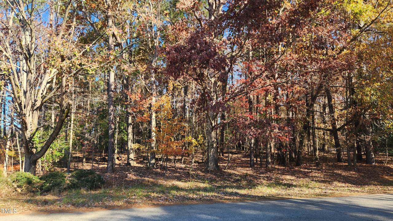 3909 Langston Circle - Photo 1