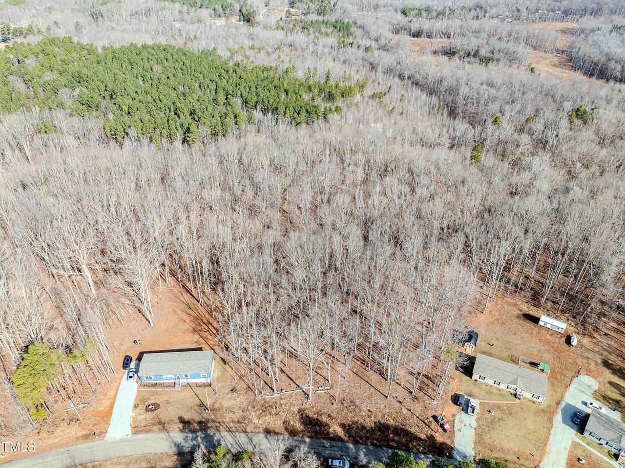 Lot 4 Loftis Loop - Photo 1