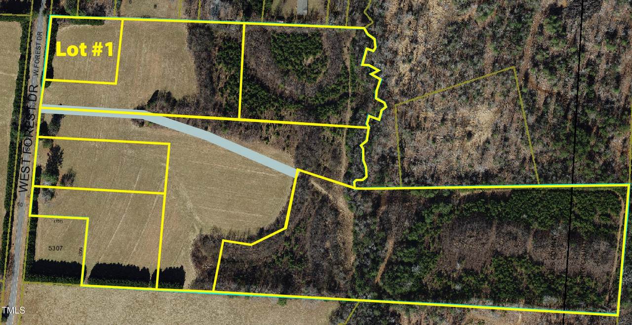 Lot 1-Tbd Forest Drive - Photo 1