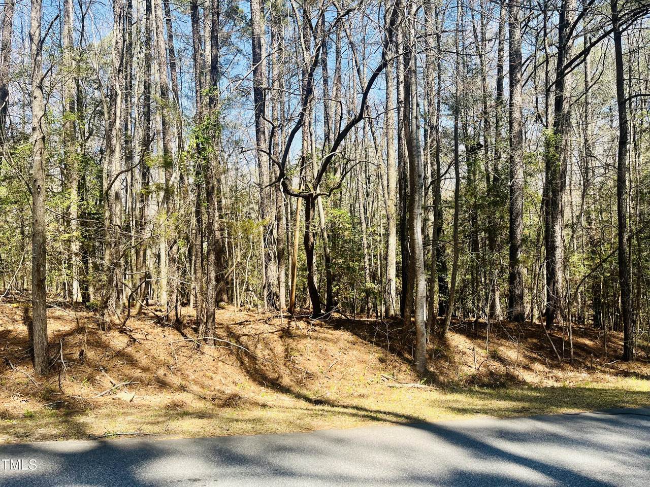 119 & 121 Osage Drive - Photo 1