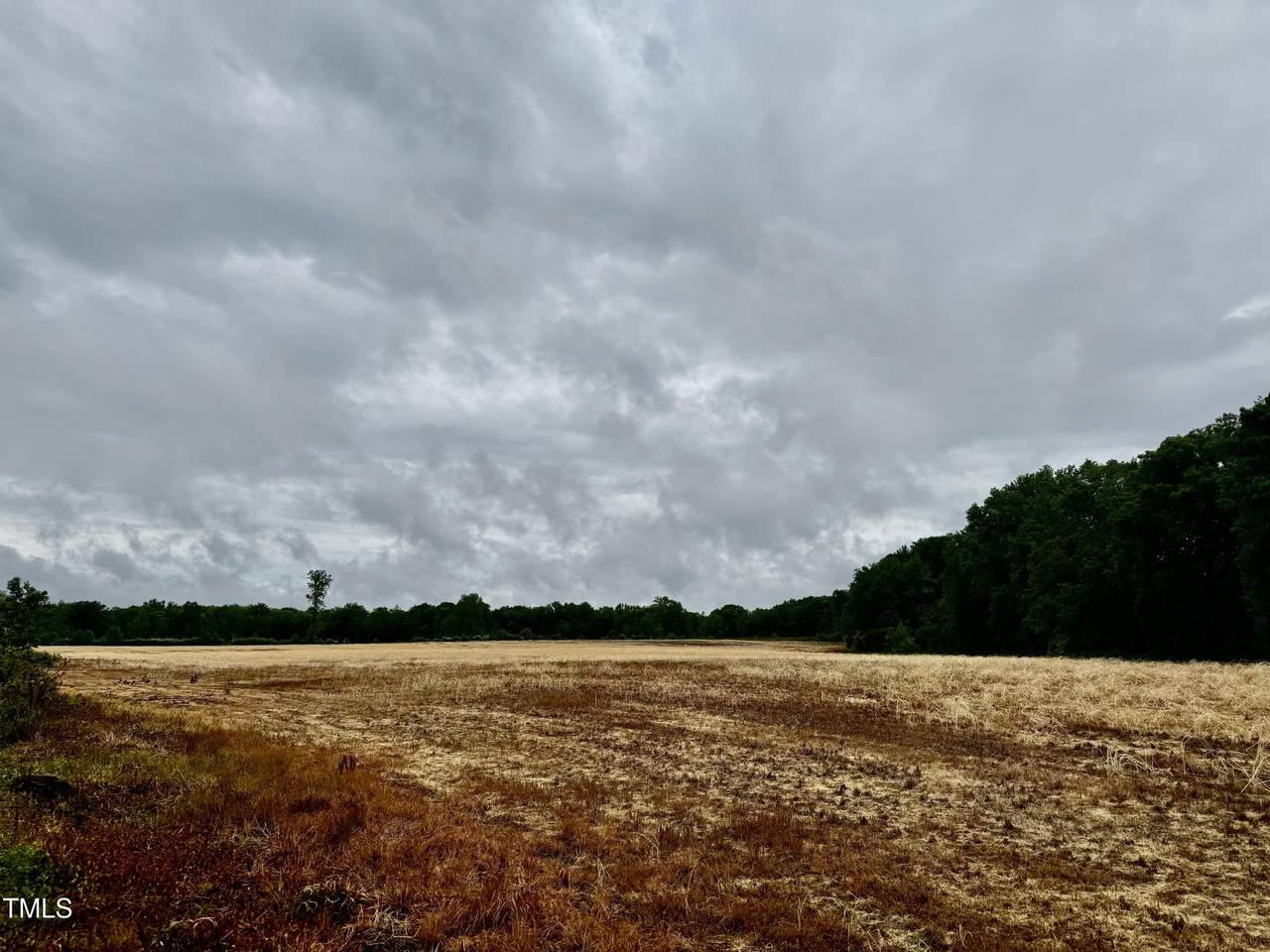 https://bt-photos.global.ssl.fastly.net/tmls/1280_boomver_1_10094082-2.jpg