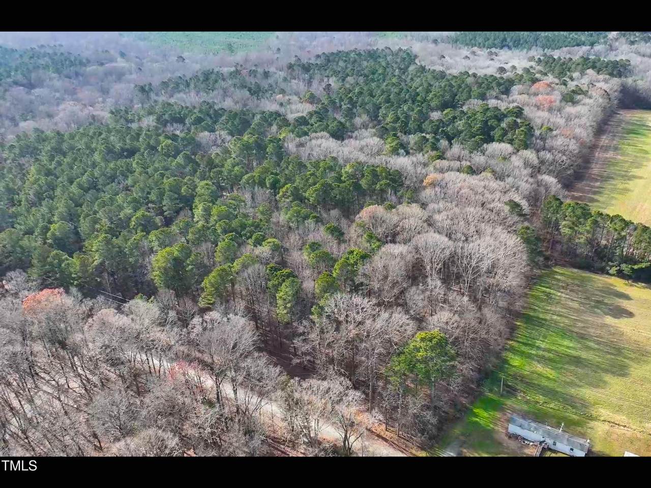 Lot 1 C Turkey Buzzard Lane - Photo 1