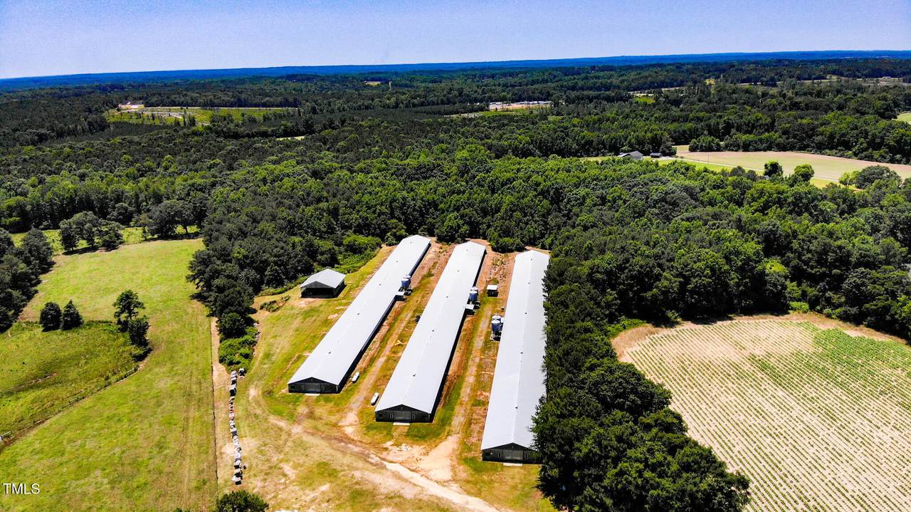 2642 Holly Springs Church Road - Photo 1