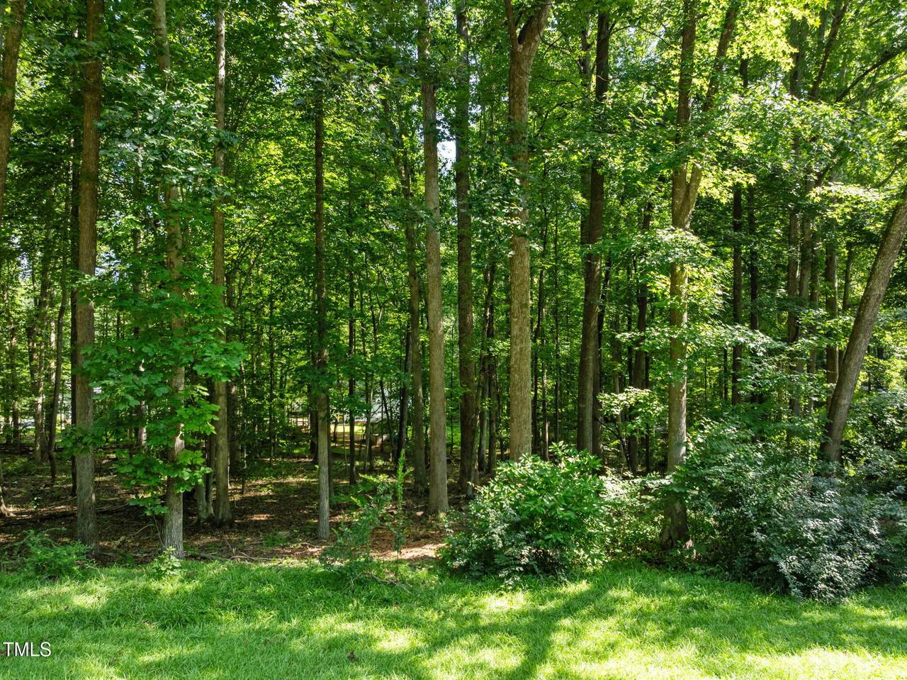 https://bt-photos.global.ssl.fastly.net/tmls/1280_boomver_1_10111169-2.jpg