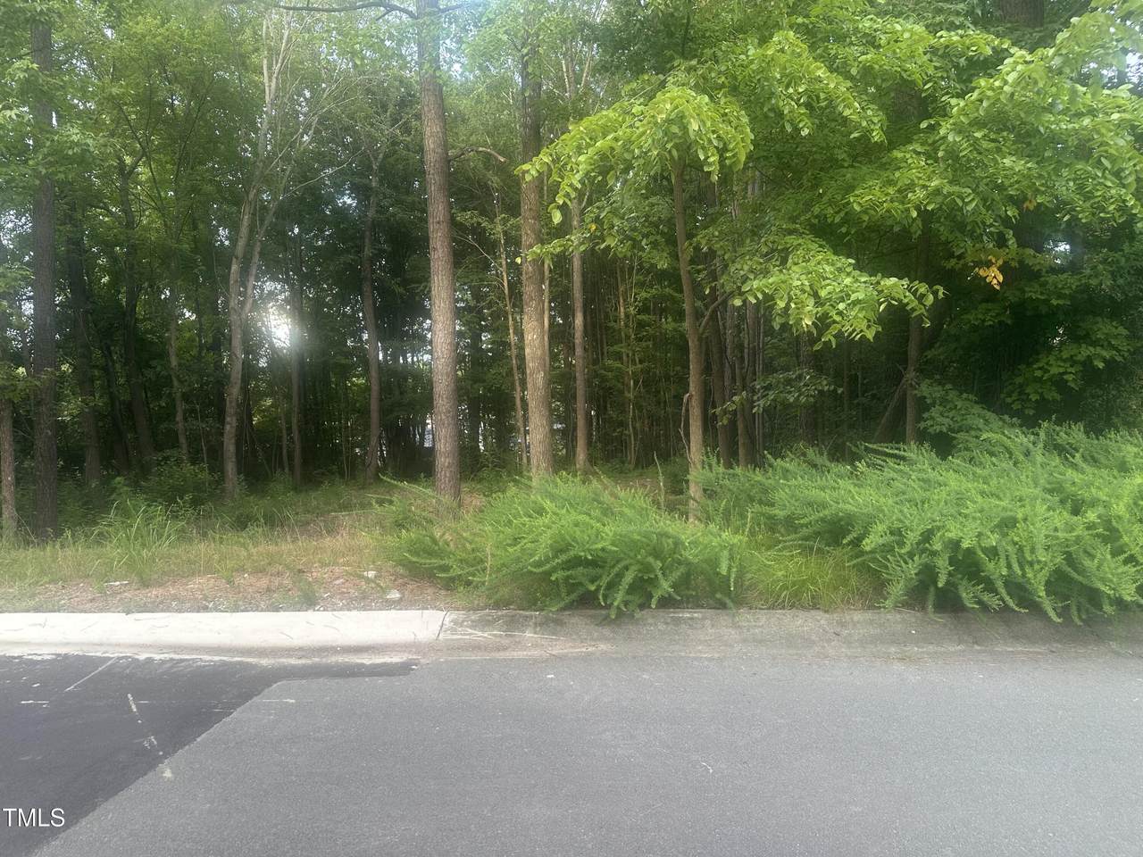 1107 High Fox Drive - Photo 1