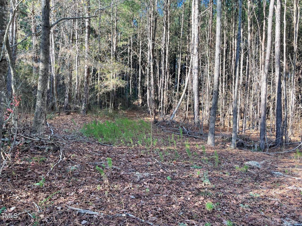 0 Turlington Road - Photo 1