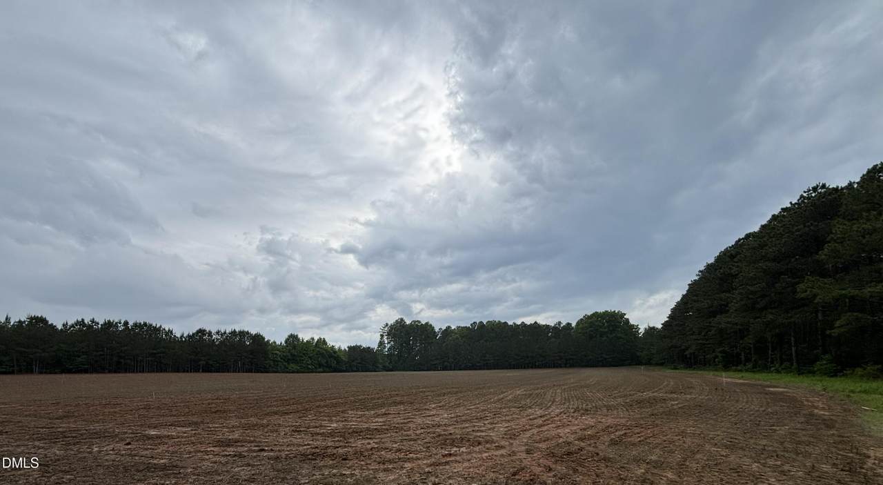 1000 Club Pond Road Road - Photo 1