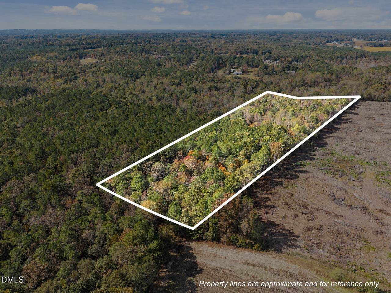 0 Ernest Brown Road - Photo 1