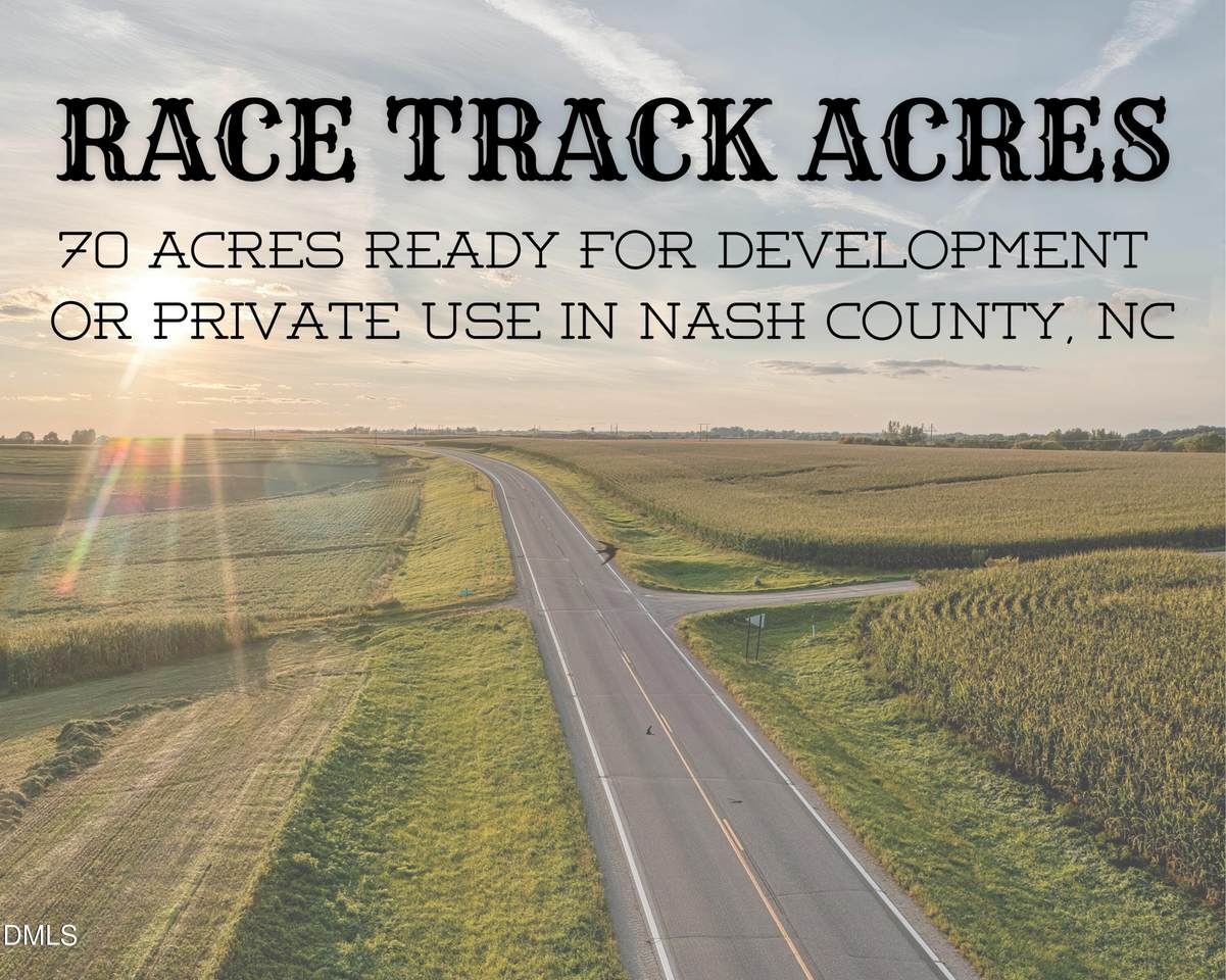 6847 Race Track Road - Photo 1