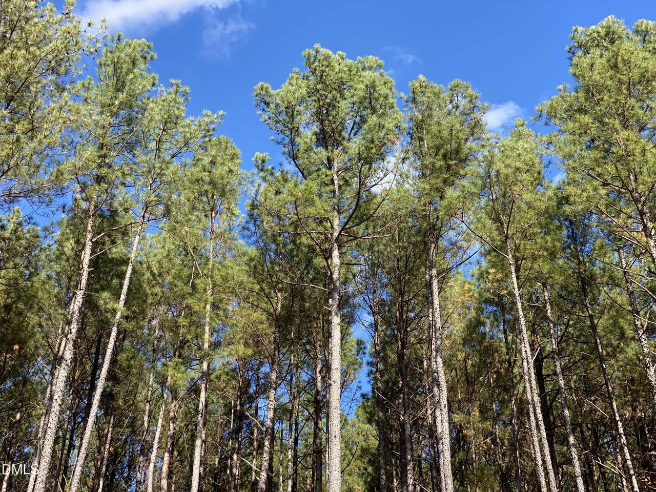 586 Anneliis Lane - Photo 1