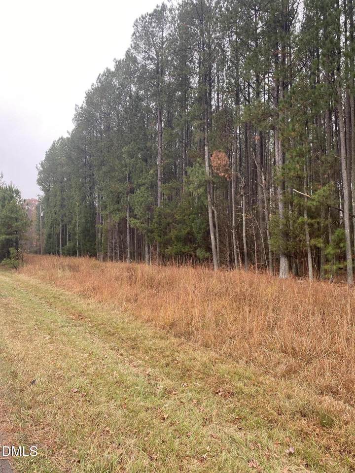 3350 Coley Road - Photo 1