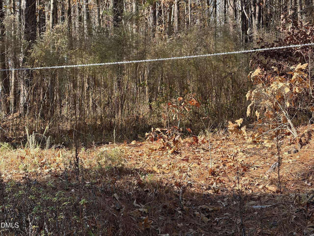 525 Montgomery Road - Photo 1